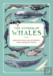 The Wonder Of Whales