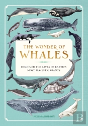 The Wonder Of Whales