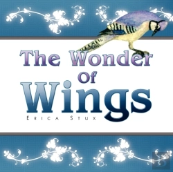 Bertrand.pt - The Wonder Of Wings