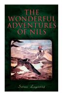 The Wonderful Adventures Of Nils