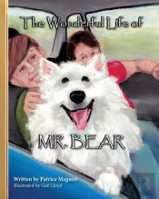 The Wonderful Life Of Mr. Bear