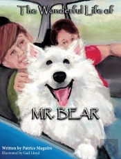 The Wonderful Life Of Mr. Bear
