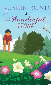 The Wonderful Stone