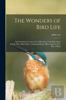 The Wonders Of Bird Life