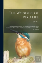 The Wonders Of Bird Life