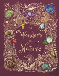The Wonders Of Nature