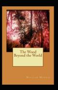 The Wood Beyond The World Illustrated