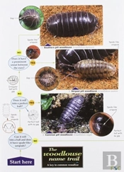 The Woodlouse Name Trail