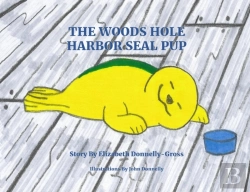 Bertrand.pt - The Woods Hole Harbor Seal Pup