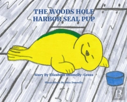 Bertrand.pt - The Woods Hole Harbor Seal Pup