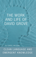 The Work And Life Of David Grove