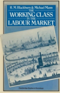 The Working Class In The Labour Market