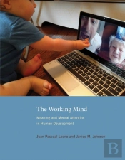 The Working Mind