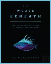 The World Beneath