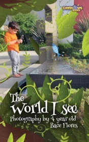 The World I See