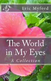 The World In My Eyes
