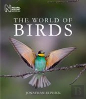 The World Of Birds