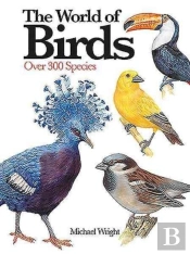 The World Of Birds