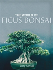 The World Of Ficus Bonsai