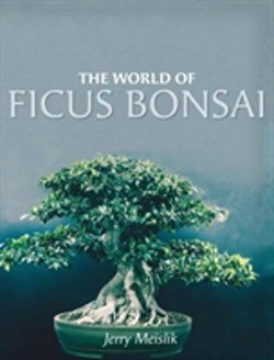 Bertrand.pt - The World Of Ficus Bonsai