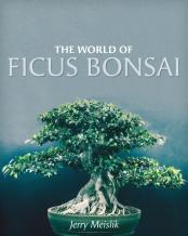 The World Of Ficus Bonsai