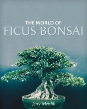 The World Of Ficus Bonsai