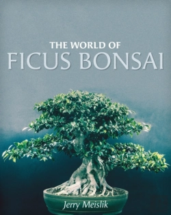 Bertrand.pt - The World Of Ficus Bonsai