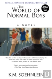 The World Of Normal Boys