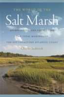 The World Of The Salt Marsh