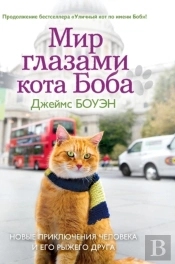 The World Through The Eyes Of Bob Cat. The New Adventures Of Red Man And His Friend