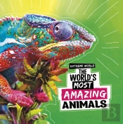 The World'S Most Amazing Animals