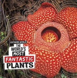 Bertrand.pt - The World'S Most Fantastic Plants
