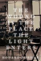 The Wound Is The Place The Light Enters