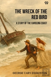 The Wreck Of The Red Bird A Story Of The Carolina Coast