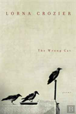 Bertrand.pt - The Wrong Cat