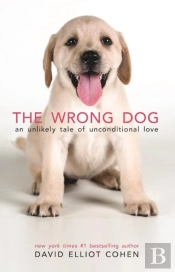 The Wrong Dog
