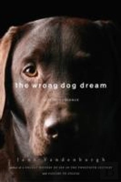 The Wrong Dog Dream