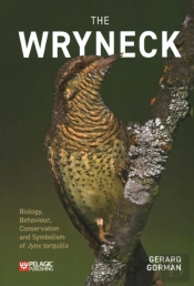 The Wryneck