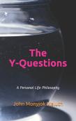 The Y-Questions