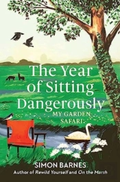 The Year Of Sitting Dangerously