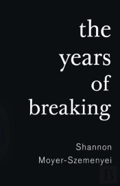 The Years Of Breaking