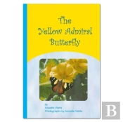 The Yellow Admiral Butterfly