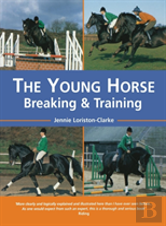 The Young Horse