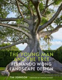 The Young Man And The Tree