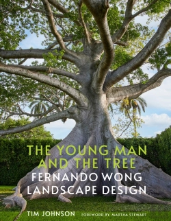 Bertrand.pt - The Young Man And The Tree