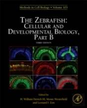The Zebrafish: Genetics, Genomics And Informatics