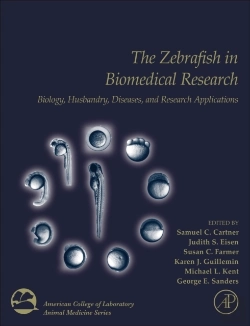 Bertrand.pt - The Zebrafish In Biomedical Research