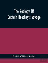 The Zoology Of Captain Beechey'S Voyage