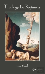 Theology For Beginners