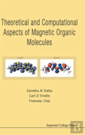 Theoretical And Computational Aspects Of Magnetic Organic Molecules